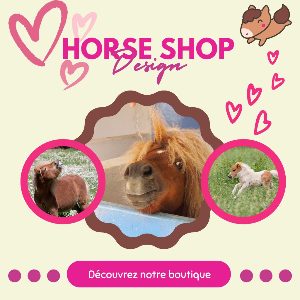 Découvrez notre boutique horse shop design